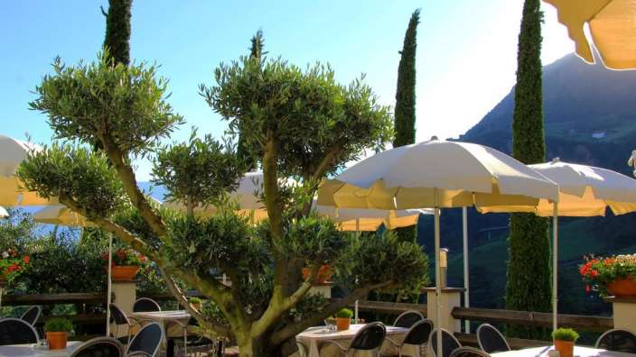 Eine Terrasse mit Tisch und Stühlen und vielen Sonnenschirmen