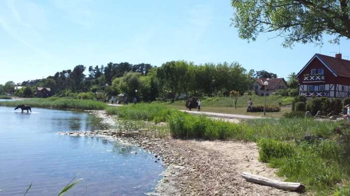Eine Gruppe von Menschen geht an einem See entlang