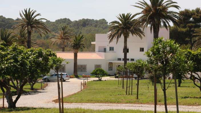 Ein weißes Haus mit Palmen und Bäumen davor