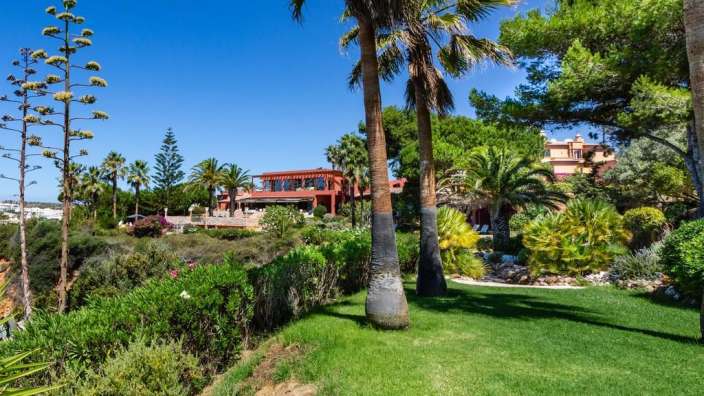 Ein großes Haus sitzt auf einem Hügel mit Palmen umgeben