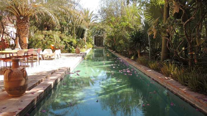 Ein langer Swimmingpool in einem üppigen Garten
