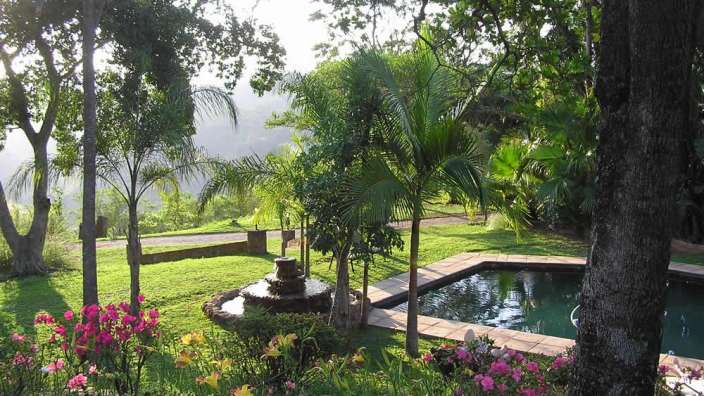 Ein Garten mit einem Pool und einem Brunnen