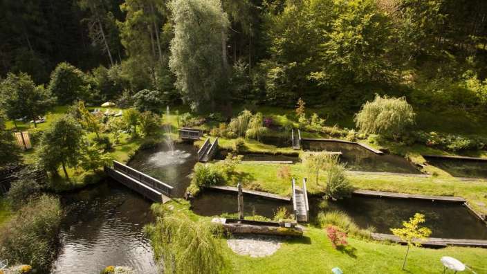 Ein Garten mit vielen Teichen und einer Brücke