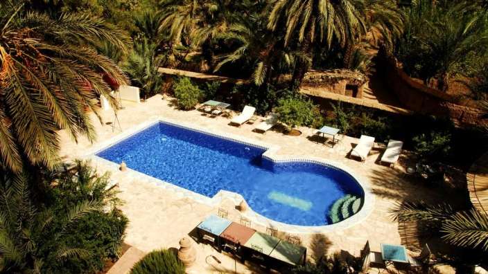 Ein großer blauer Pool umgeben von Palmen und Stühlen