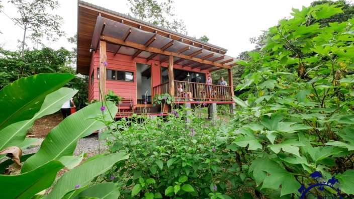 Ein kleines rotes Haus steht inmitten eines grünen Gartens