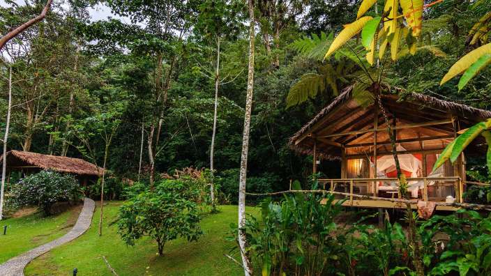 Ein kleines Holzhaus inmitten eines grünen Dschungels