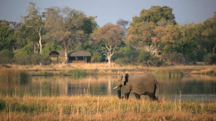 Ein Elefant steht in einem Feld neben einem See