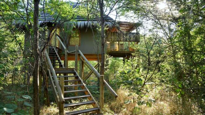 Eine Treppe führt zu einem Baumhaus im Wald