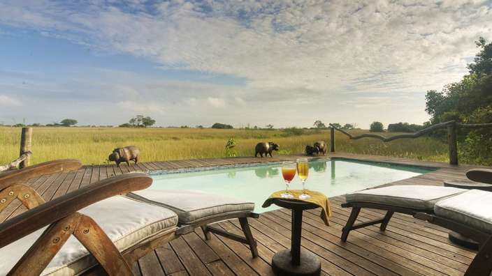 Ein Swimmingpool auf einem Holzdeck mit Elefanten im Hintergrund