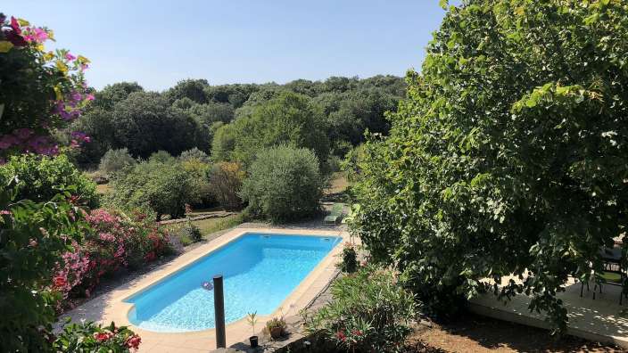 Ein großer Swimmingpool umgeben von Bäumen und Blumen