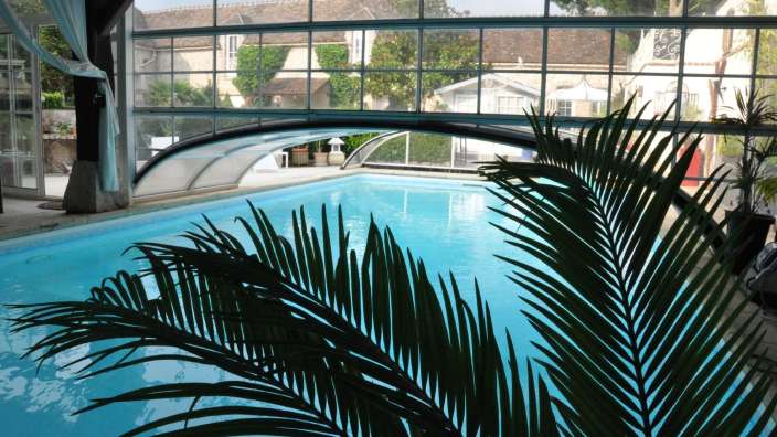 Ein Schwimmbad mit einer Palme im Vordergrund