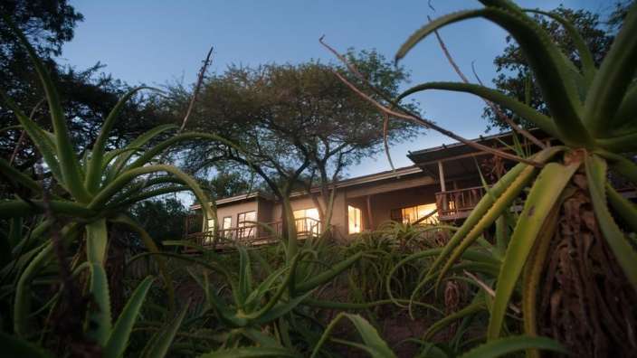 Ein Haus mit einer Veranda umgeben von Aloe Vera-Pflanzen