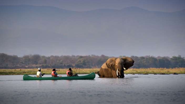 Eine Gruppe von Menschen in einem Kanu mit einem Elefanten im Hintergrund