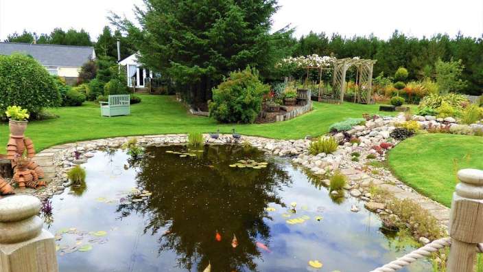 Ein Garten mit einem Teich und einer Bank