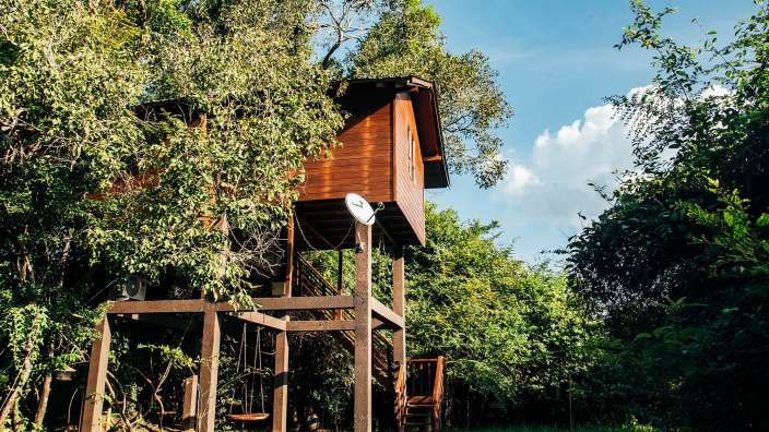 Ein kleines Holzhaus auf Stelzen inmitten eines Waldes