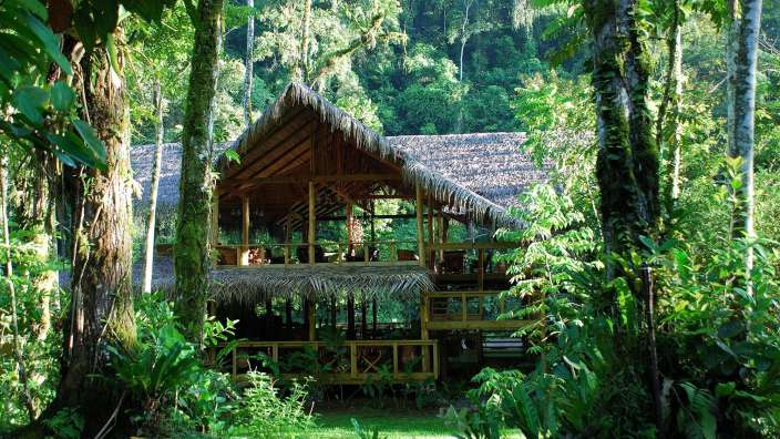 Ein Haus mit Strohdach im Dschungel