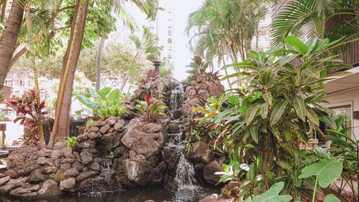 Ein Wasserfall inmitten von Bäumen und Pflanzen