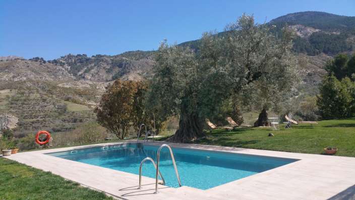 Ein Swimmingpool mit einem roten Rettungsring darauf