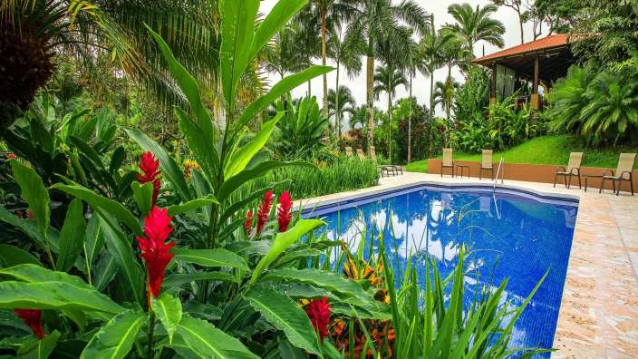 Ein großer Swimmingpool umgeben von tropischen Pflanzen und Bäumen