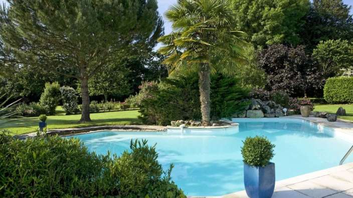 Ein großer Swimmingpool umgeben von Bäumen und Pflanzen