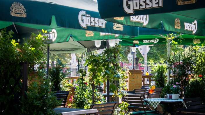 Eine Reihe von grünen Sonnenschirmen mit der Aufschrift gösser