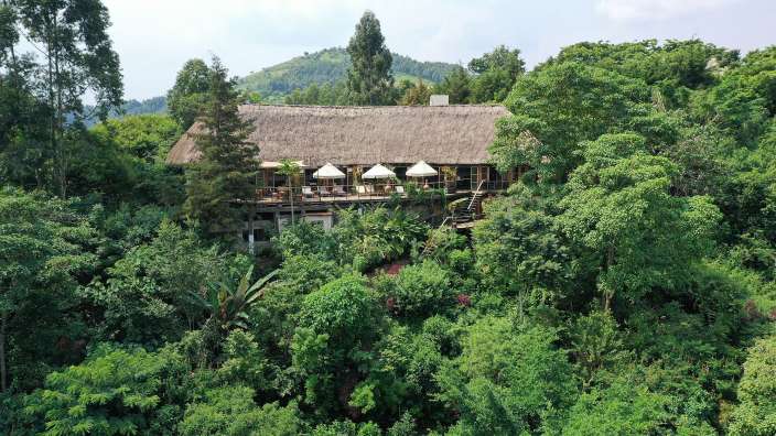 Ein Haus mit Strohdach liegt inmitten eines Waldes