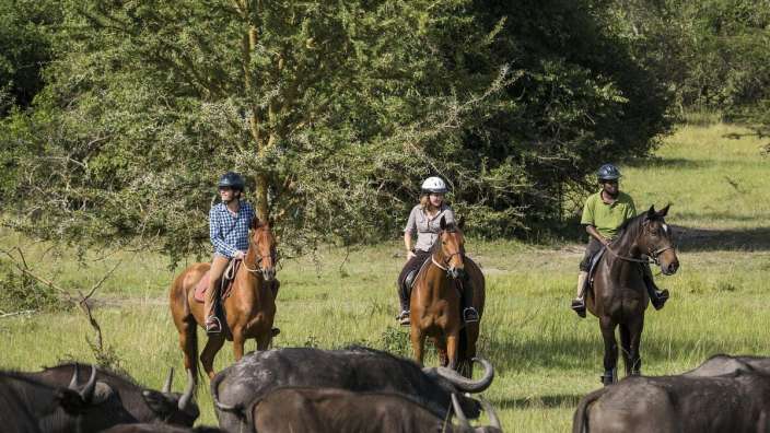 Eine Gruppe von Menschen, die auf Pferden in einem Feld reiten
