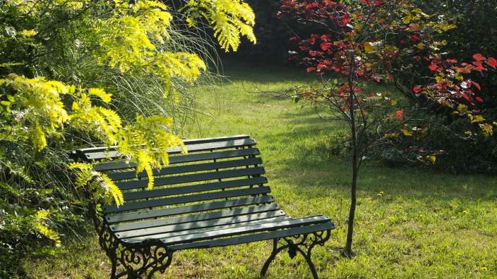 Eine grüne Bank sitzt im Gras neben einem kleinen Baum