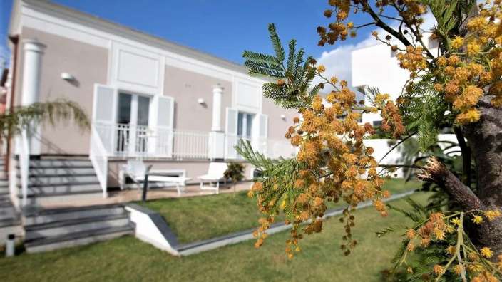 Ein Baum mit gelben Blüten steht vor einem Haus