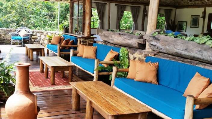 Ein Wohnzimmer mit blauen und orangefarbenen Möbeln