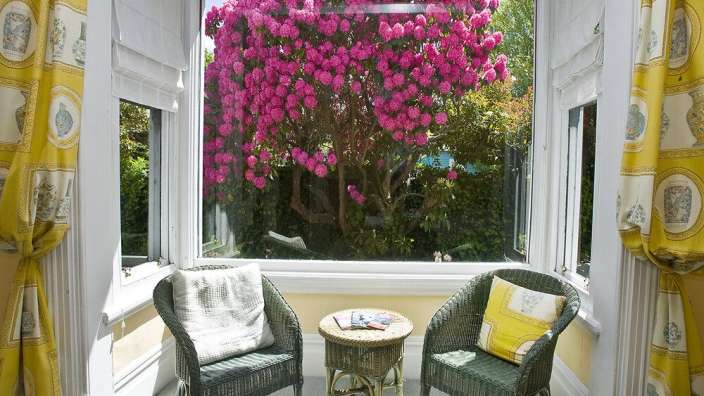 Ein Wohnzimmer mit zwei Stühlen und einem Tisch mit einem Baum im Hintergrund