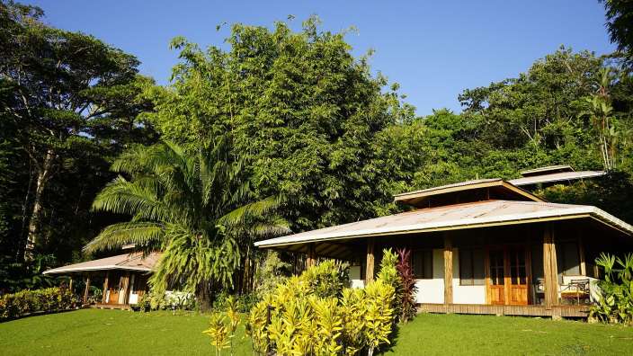 Eine Gruppe von Häusern mit Bäumen im Hintergrund