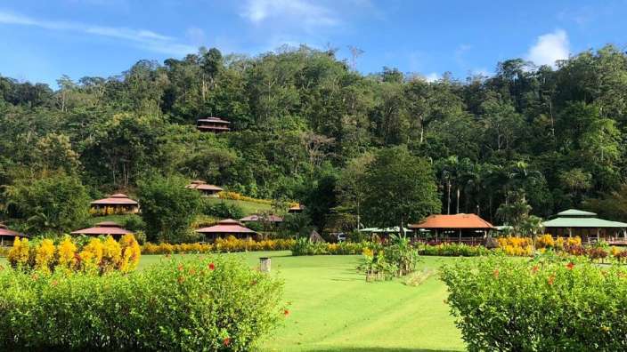 Eine Gruppe von Häusern sitzt auf einem grünen Hügel