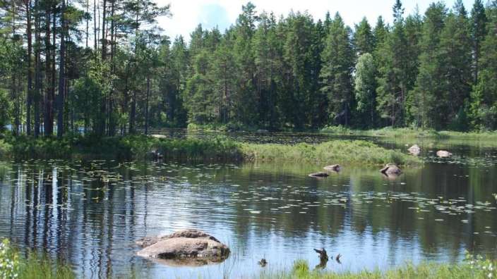 Ein See im Wald mit einem großen Felsen im Wasser