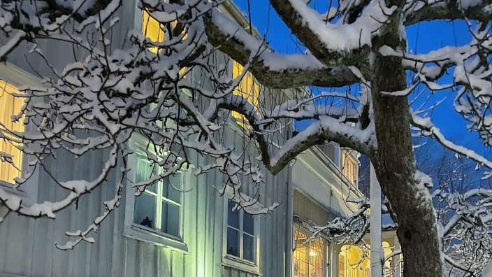 Ein schneebedeckter Baum steht vor einem Haus