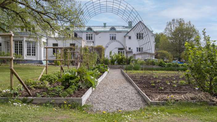 Ein Gemüsegarten mit einem großen weißen Haus im Hintergrund