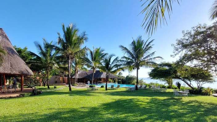 Ein großer grüner Rasen mit Palmen und einem Pool im Hintergrund