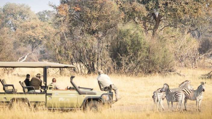Eine Gruppe von Menschen sitzt in einem grünen jeep und beobachtet zebras