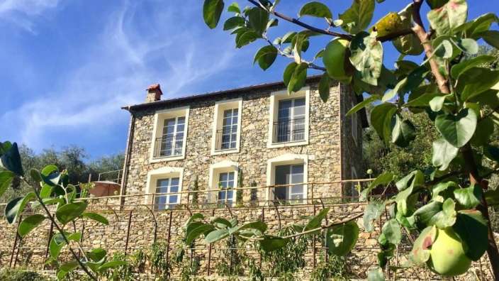 Ein großes Steingebäude mit vielen Fenstern steht hinter einem Obstbaum