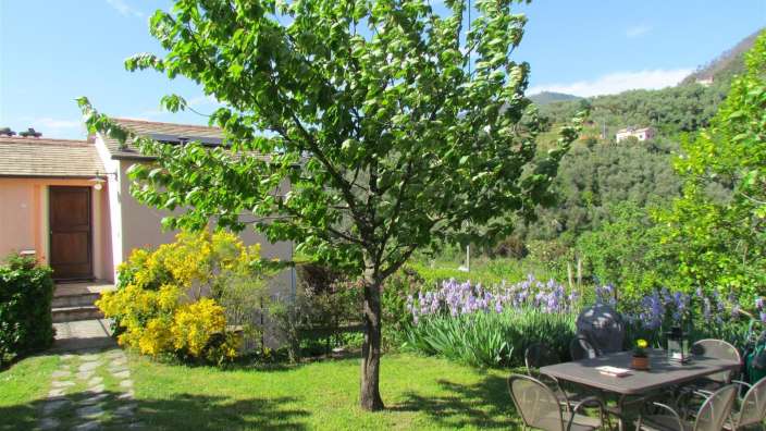 Ein Garten mit einem Tisch und Stühlen und einem Baum
