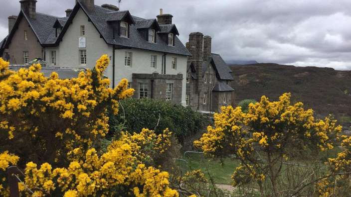 Ein großes weißes Gebäude mit gelben Blumen davor