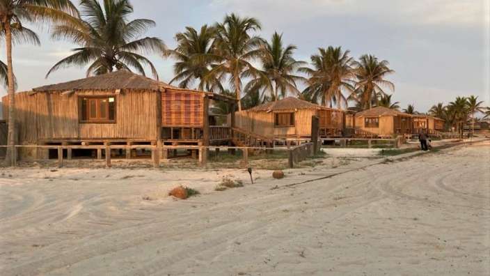 Eine Reihe von Holzhütten am Strand mit Palmen dahinter