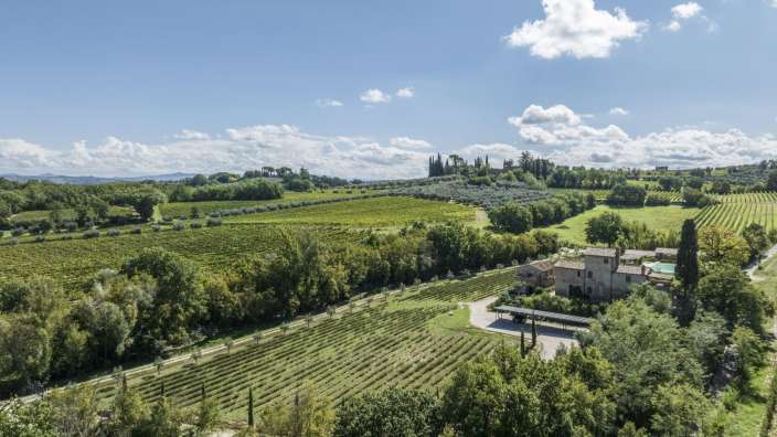 Eine Luftaufnahme eines Weinberges mit einem Haus im Hintergrund