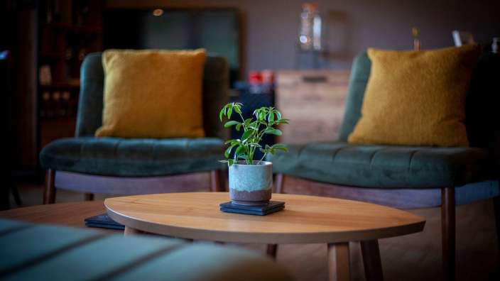 Ein Tisch mit zwei Stühlen und einer Pflanze darauf