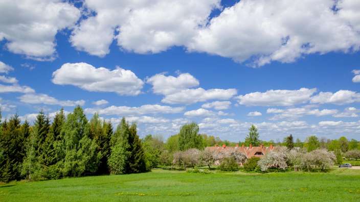 Ein großes grünes Feld mit einem Haus im Hintergrund