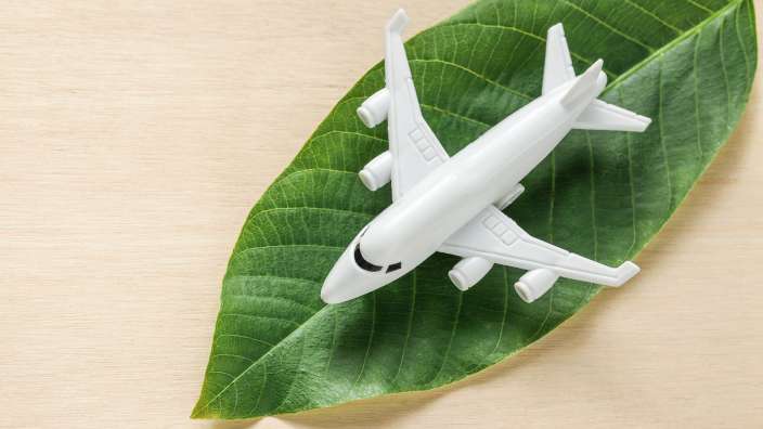 Ein weißes Flugzeug sitzt auf einem grünen Blatt