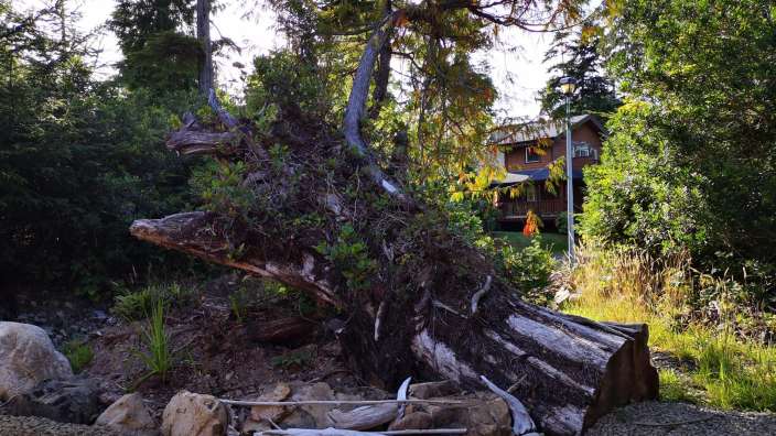 Ein Baumstamm liegt auf einem Kiesweg neben einem Haus