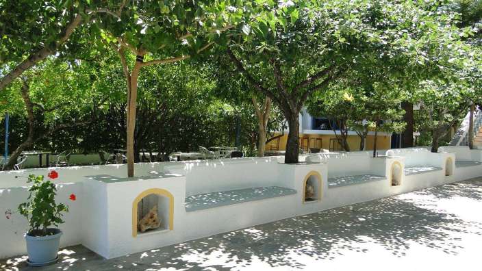 Eine Reihe weißer Bänke unter Bäumen in einem Garten