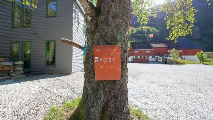 Ein orangefarbener Postkasten an einem Baumstamm