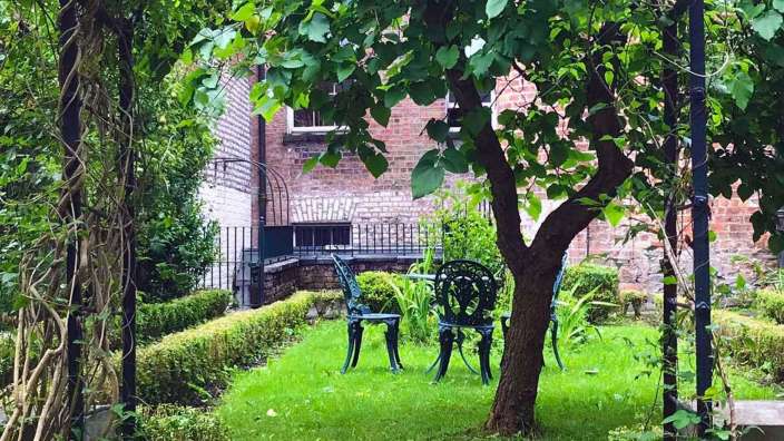 Ein Garten mit einem Tisch und Stühlen unter einem Baum